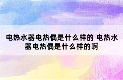 电热水器电热偶是什么样的 电热水器电热偶是什么样的啊